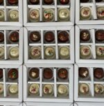 6 Compartment box with transparent lids pack of 5